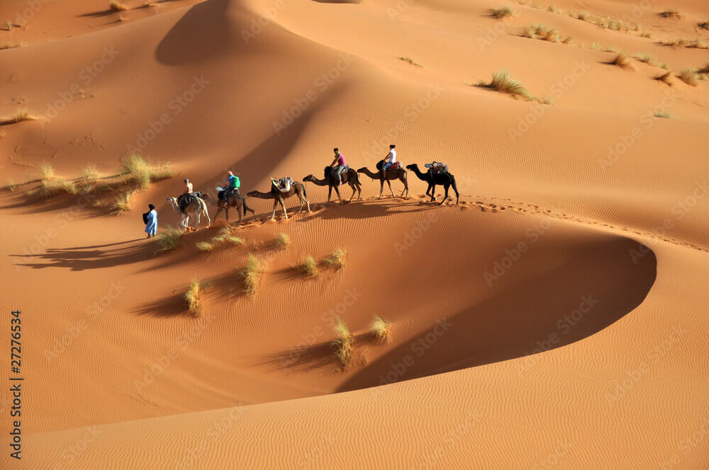 Circuit en Tunisie : L'Essentiel de la Tunisie 8 jours - BT Tours